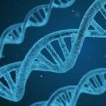Genealogy Testing: A New Frontier for Criminal Investigations?