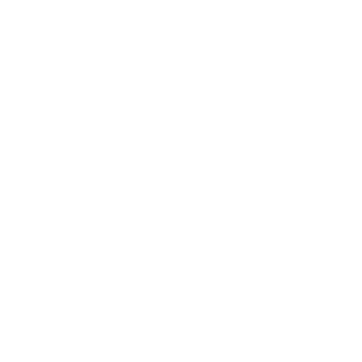 theft icon