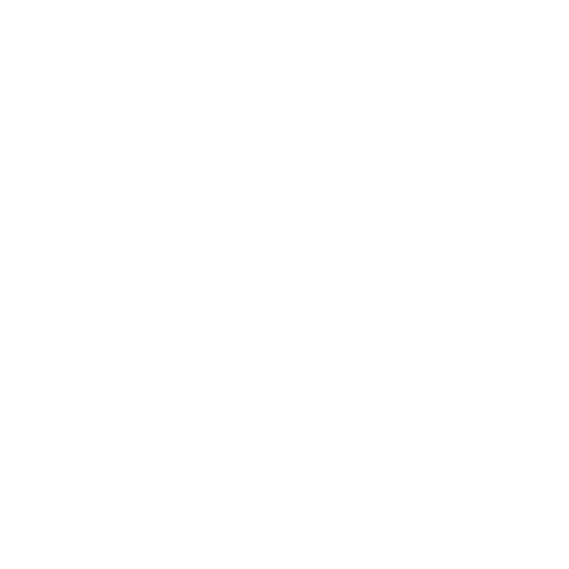weapons icon