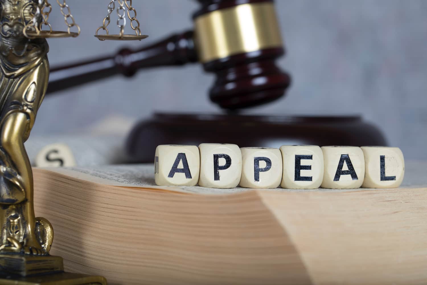 Child Support Appeal Order Legal Concept with Gavel and Law Book Appeal legal concept with gavel, law book, and scales of justice symbolizing child support order appeal